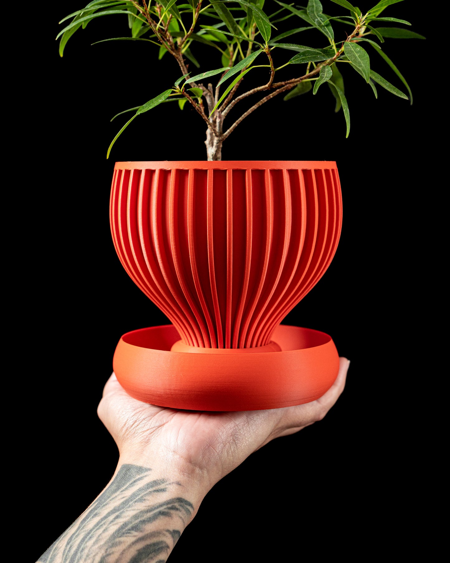 Yin interior planter