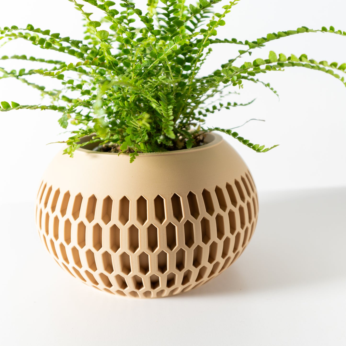 The Mervis Interior Planter Pot with Drainage Tray