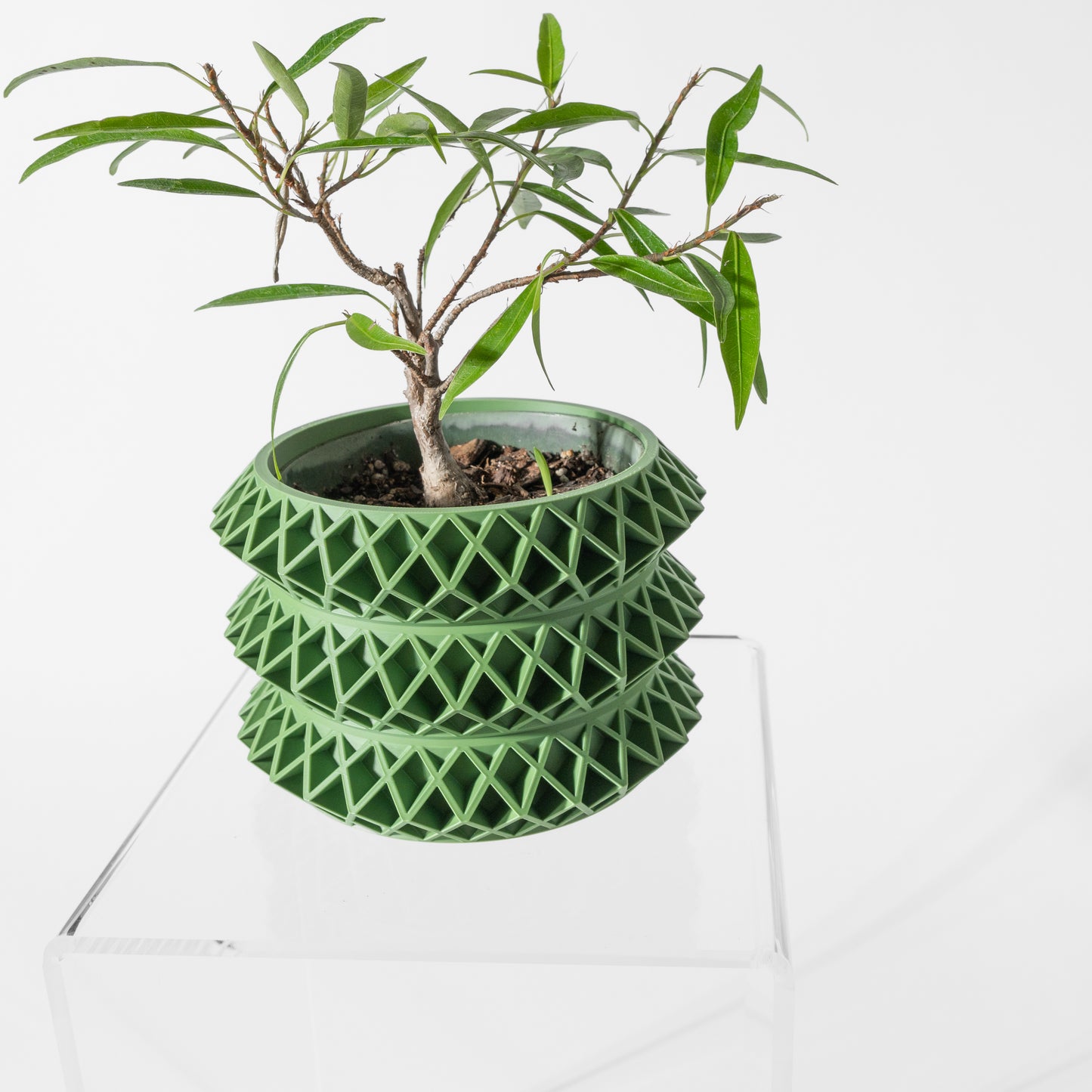 The Tomo Interior Planter Pot