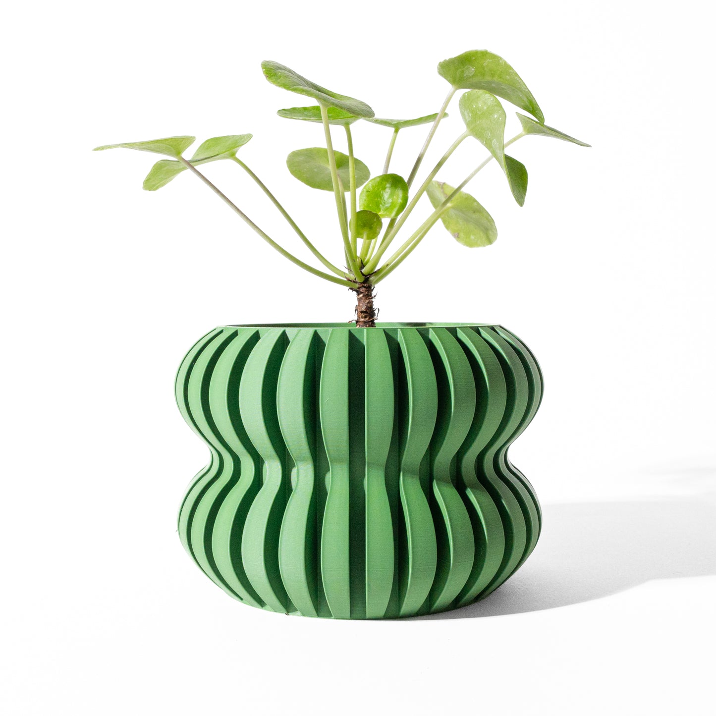 DASO Interior Planter