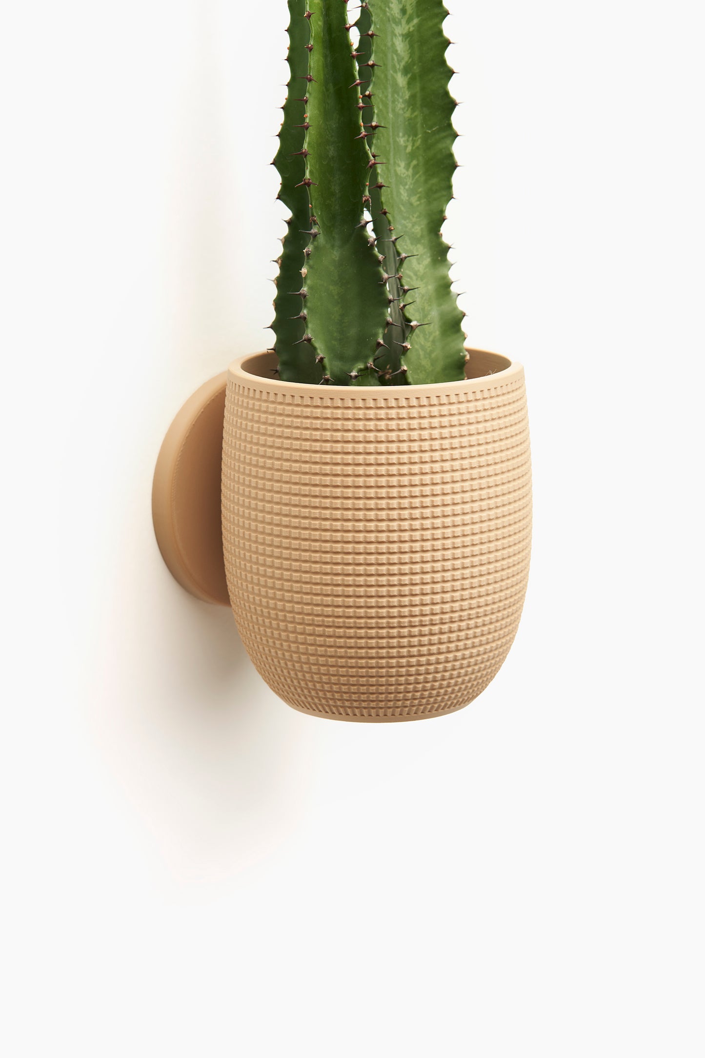 Grid Interior Planter - Wall Mounted
