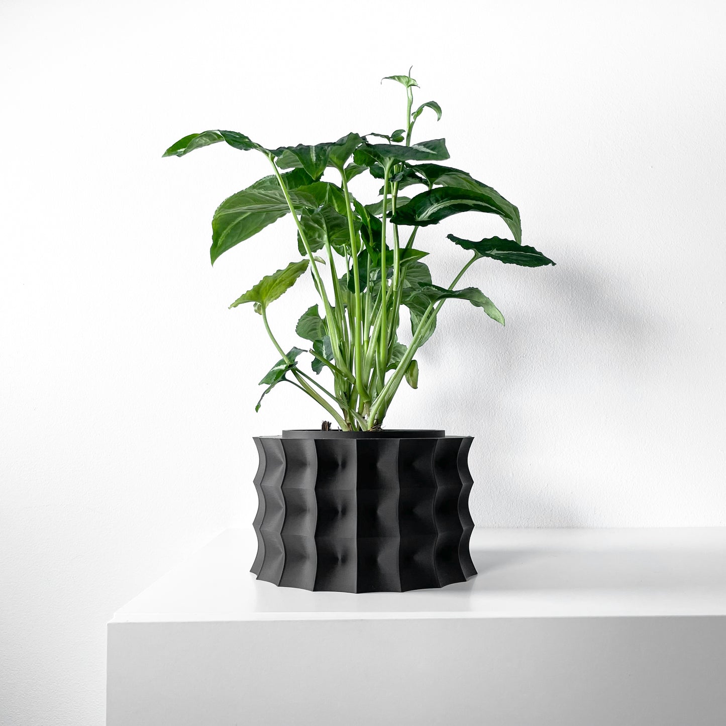 The Kivern Interior Planter Pot with Drainage Tray