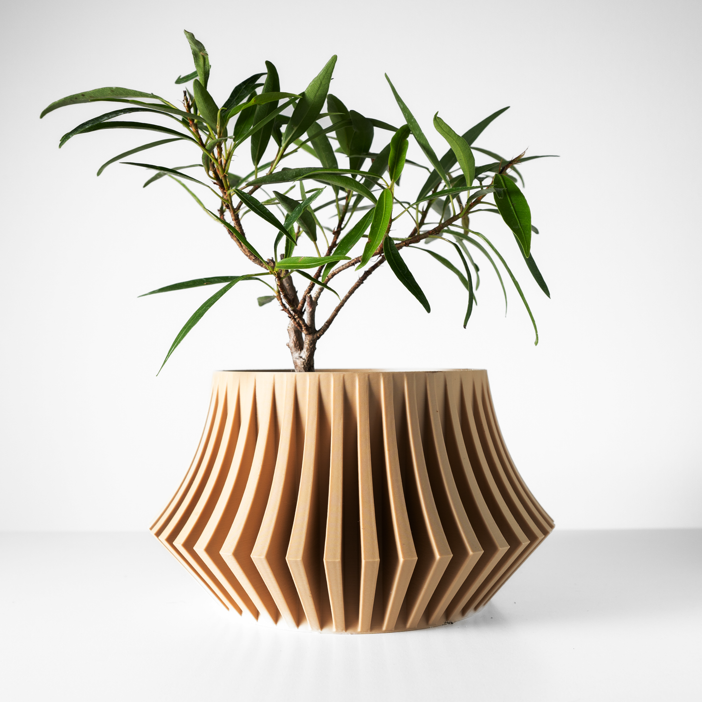 The Jasen Interior Planter Pot with Drainage Tray