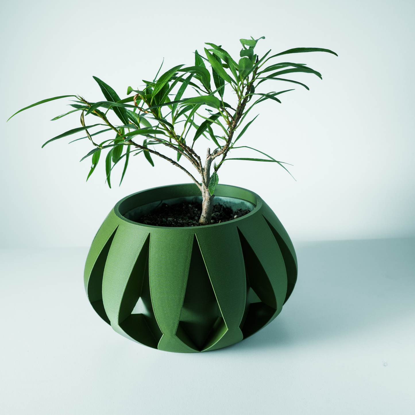 The Moki Interior Planter Pot with Drainage Tray