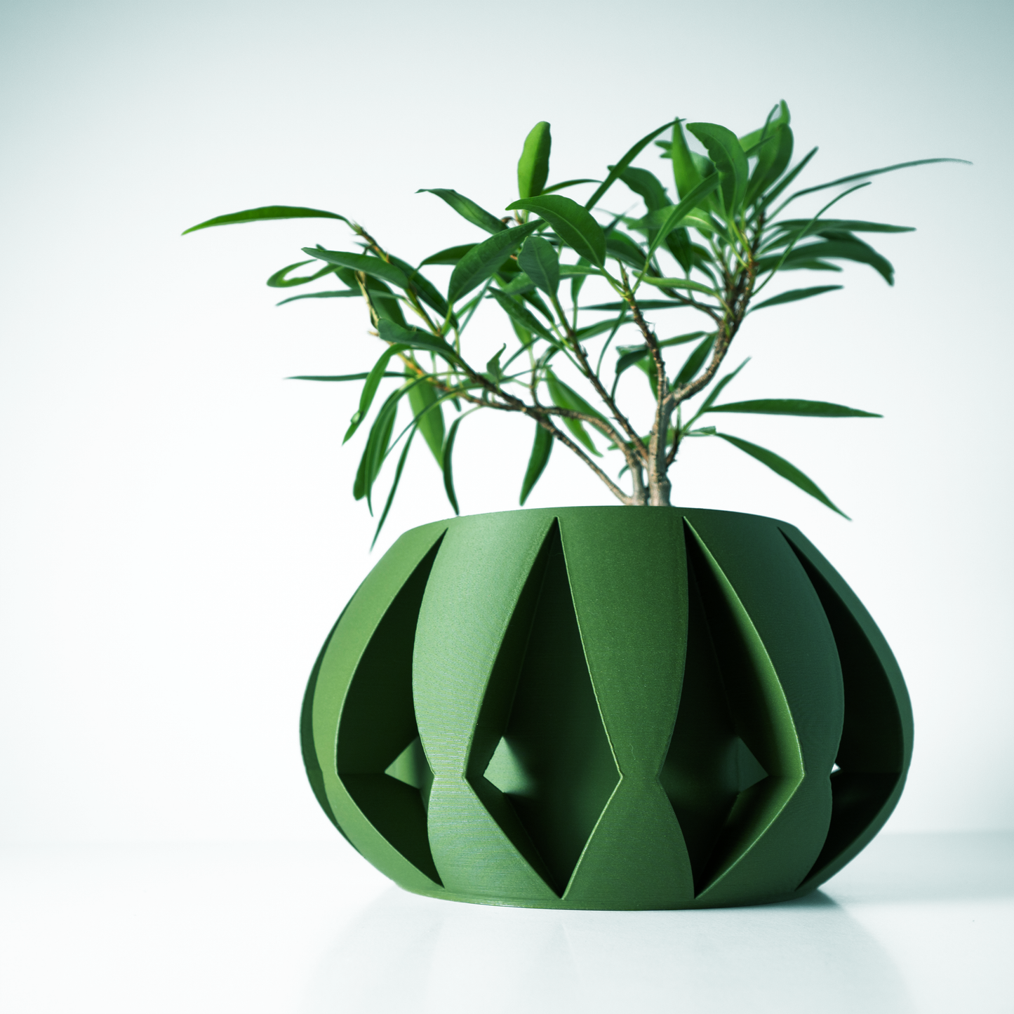 The Moki Interior Planter Pot with Drainage Tray