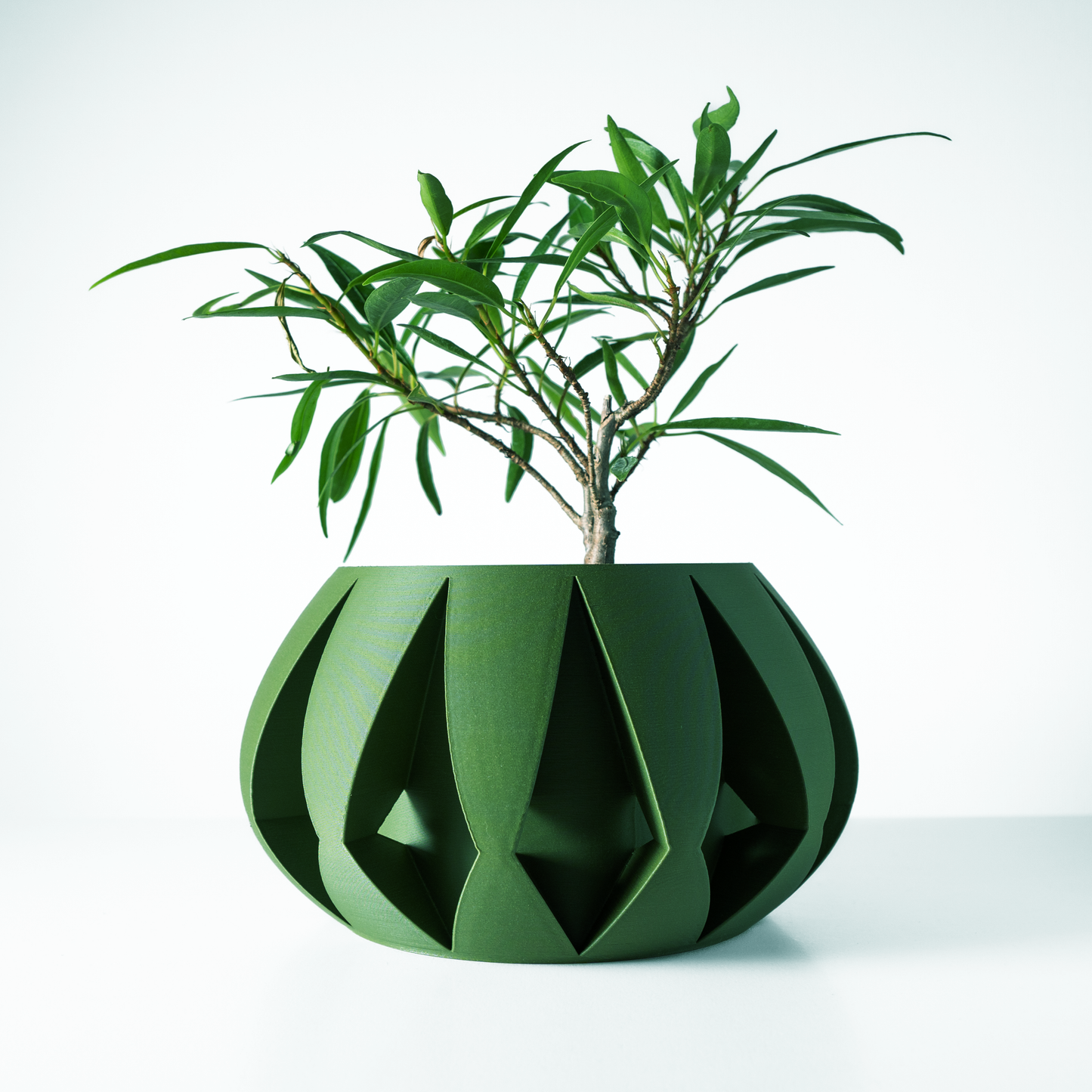 The Moki Interior Planter Pot with Drainage Tray
