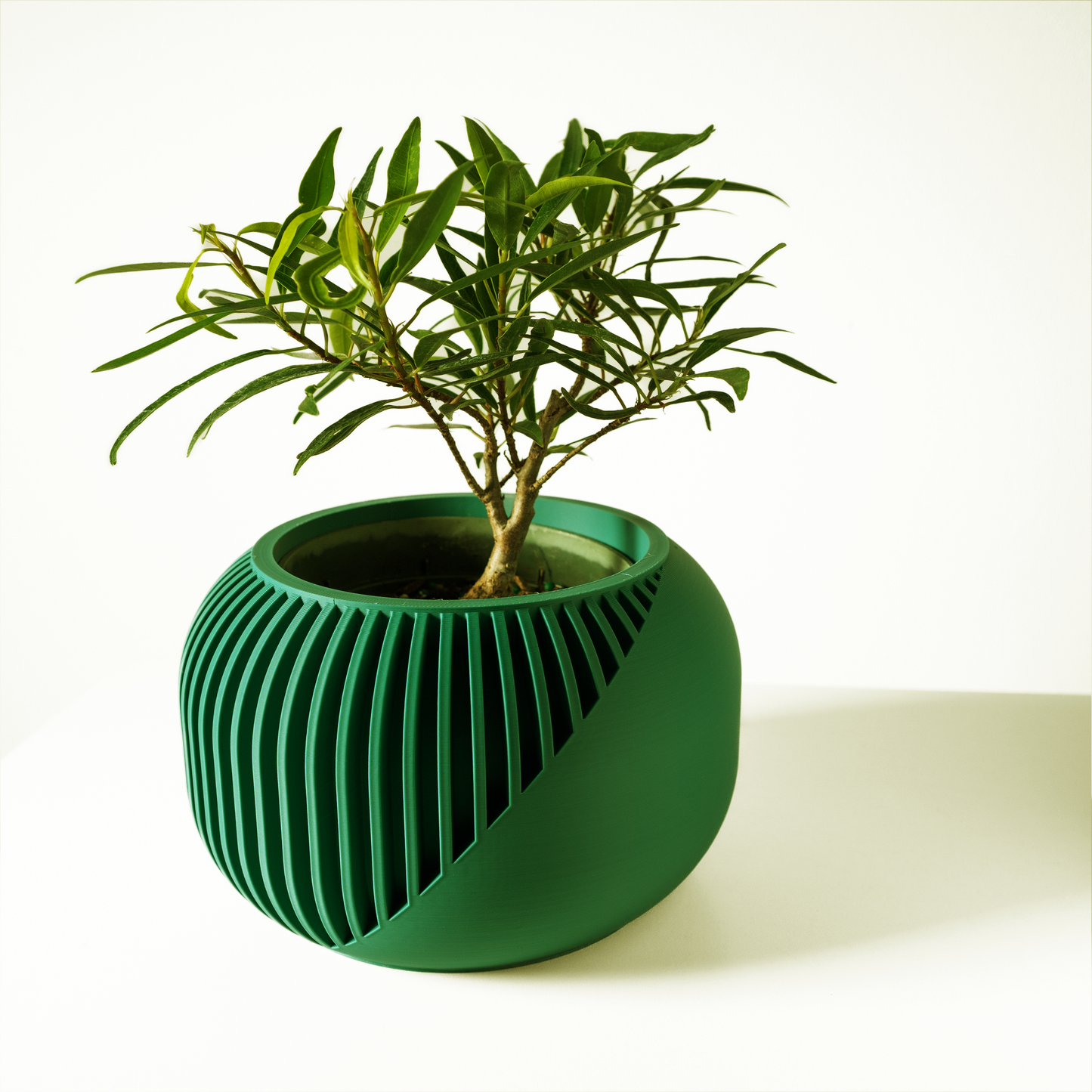 The Narvo Interior Planter Pot with Drainage Tray