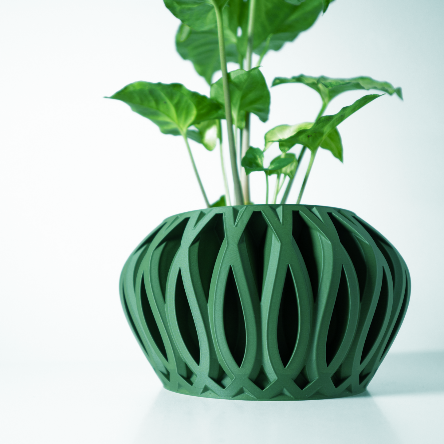 The Serik Interior Planter Pot with Drainage Tray