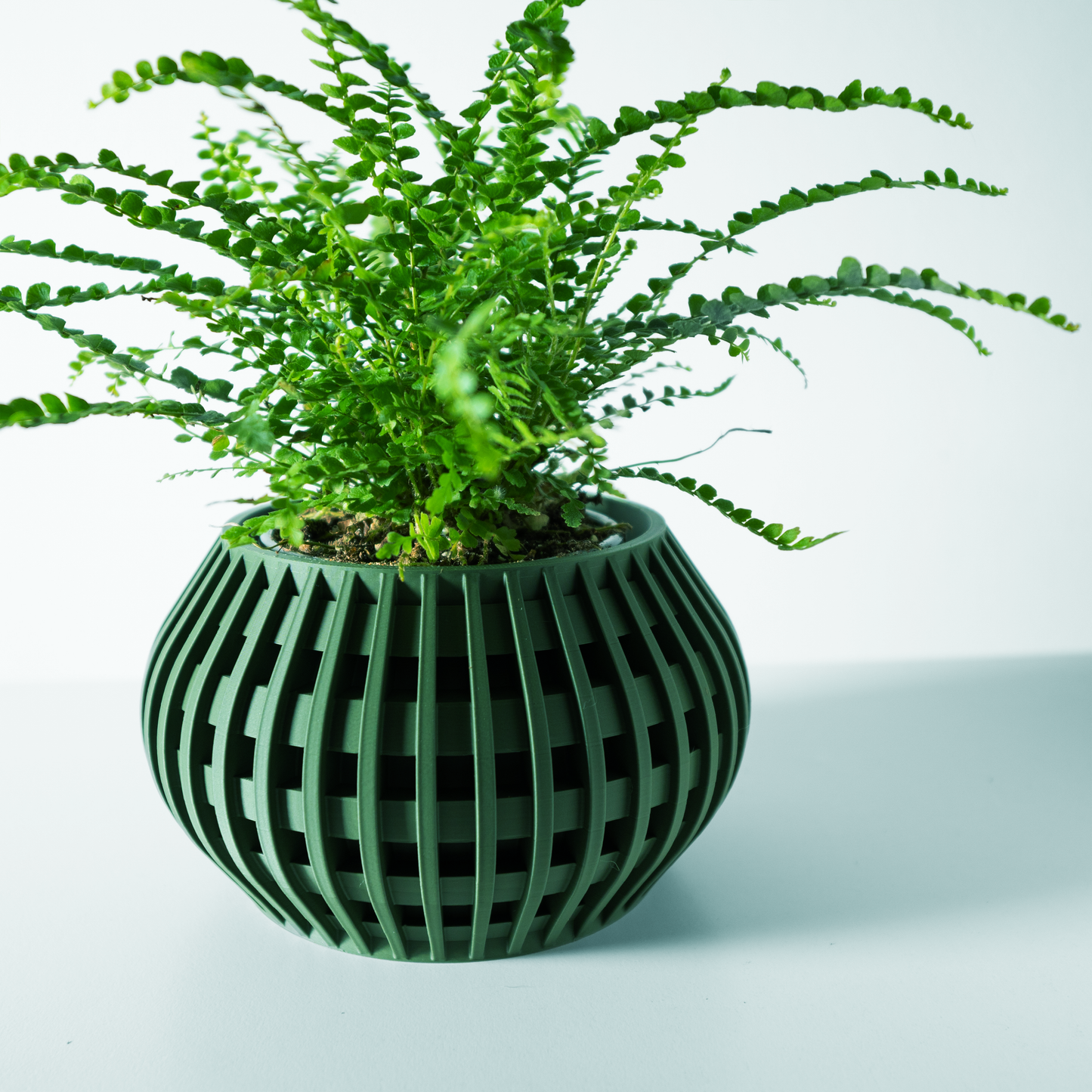The Usio Interior Planter Pot with Drainage Tray
