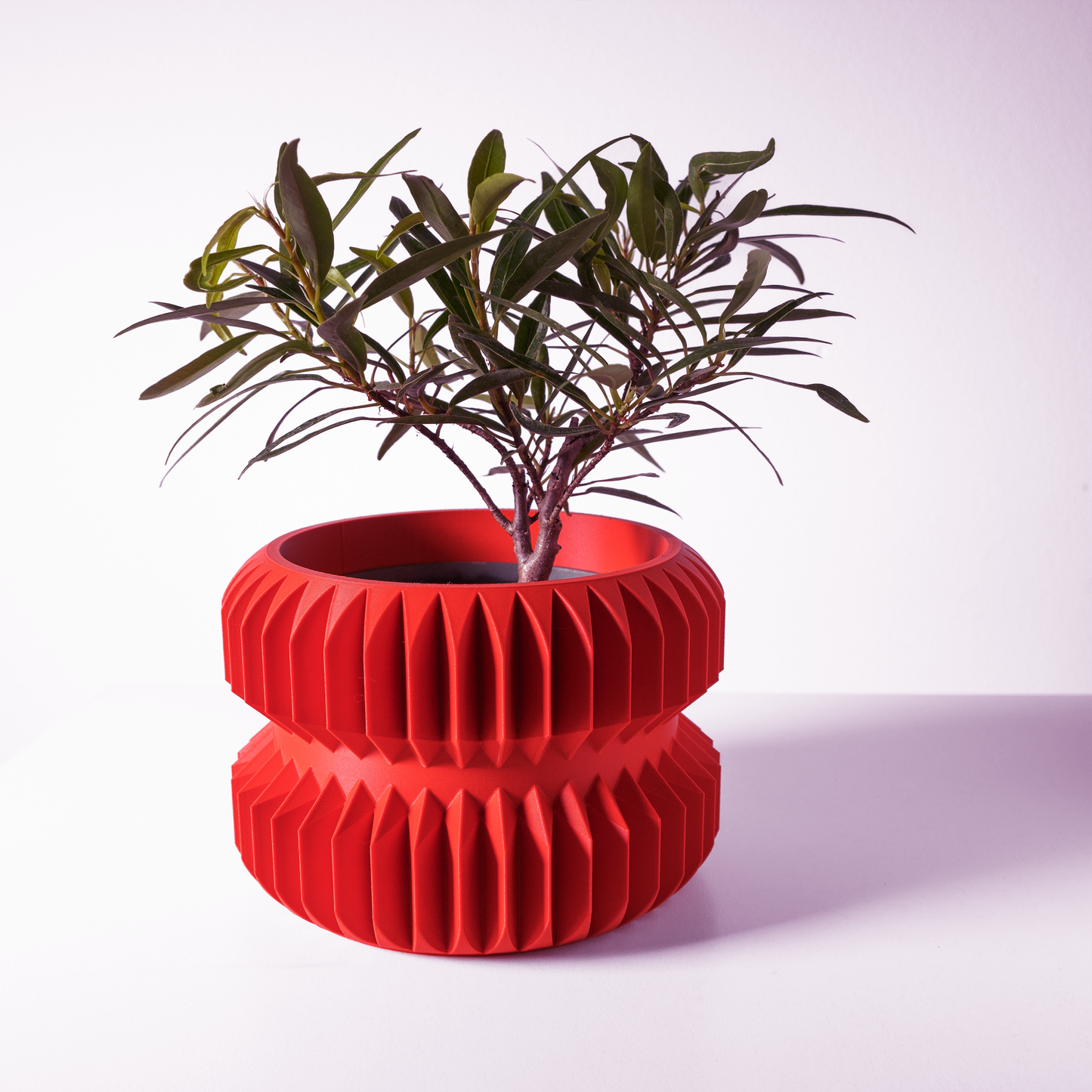 The Pilas Interior Planter Pot with Drainage Tray
