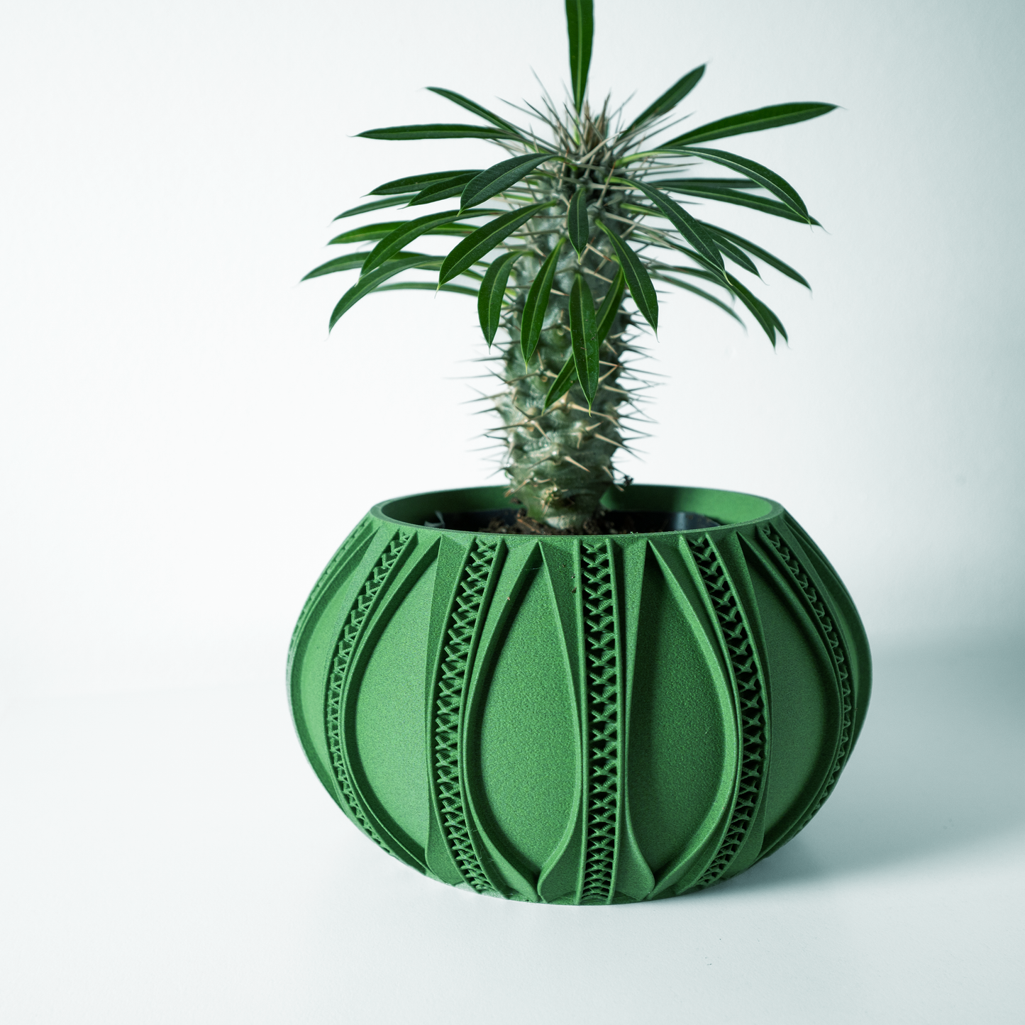 The Ryne Interior Planter Pot with Drainage Tray