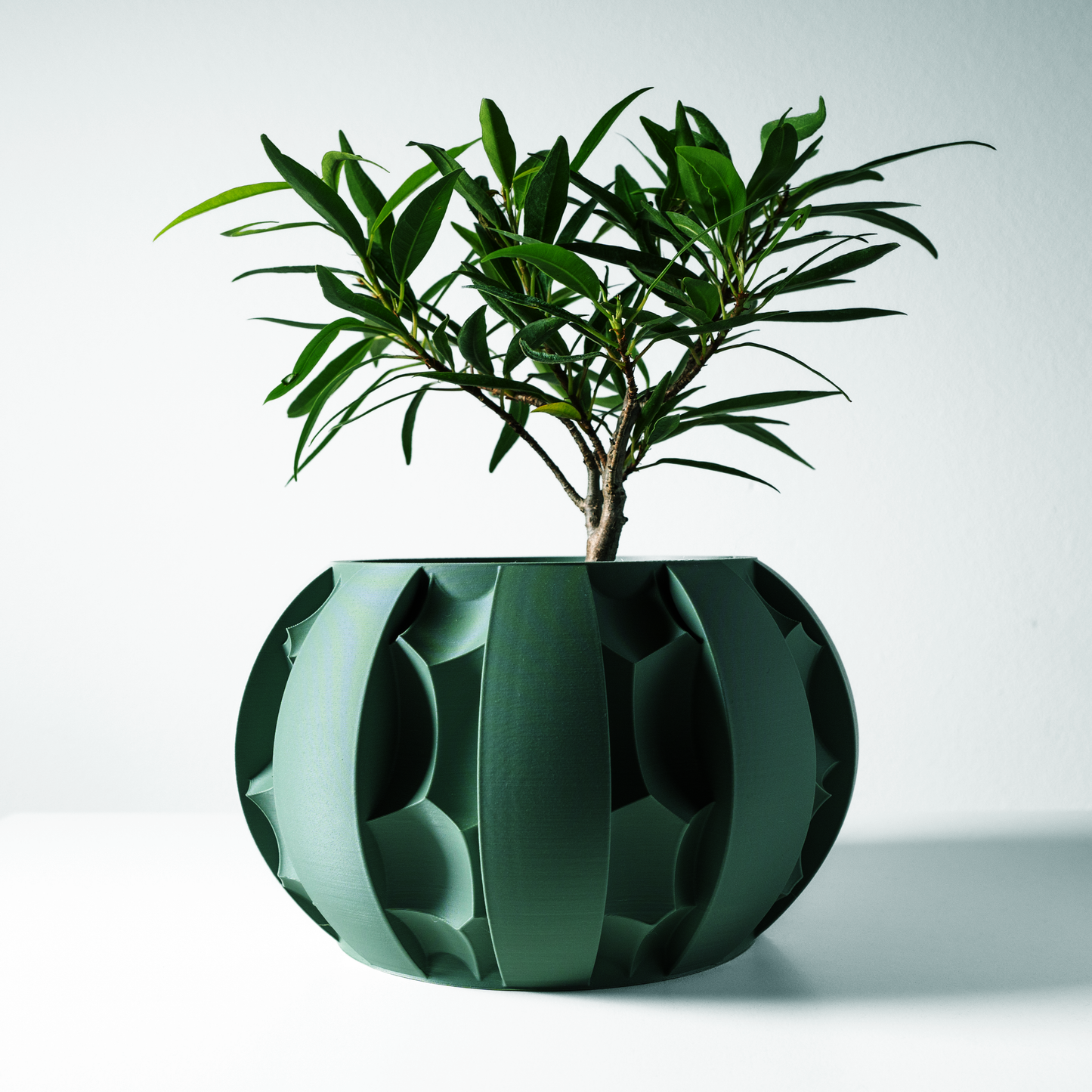 The Erna Interior Planter Pot with Drainage Tray