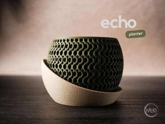 echo · planter Interior