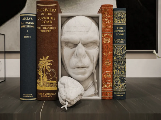 Voldemort Book Nook