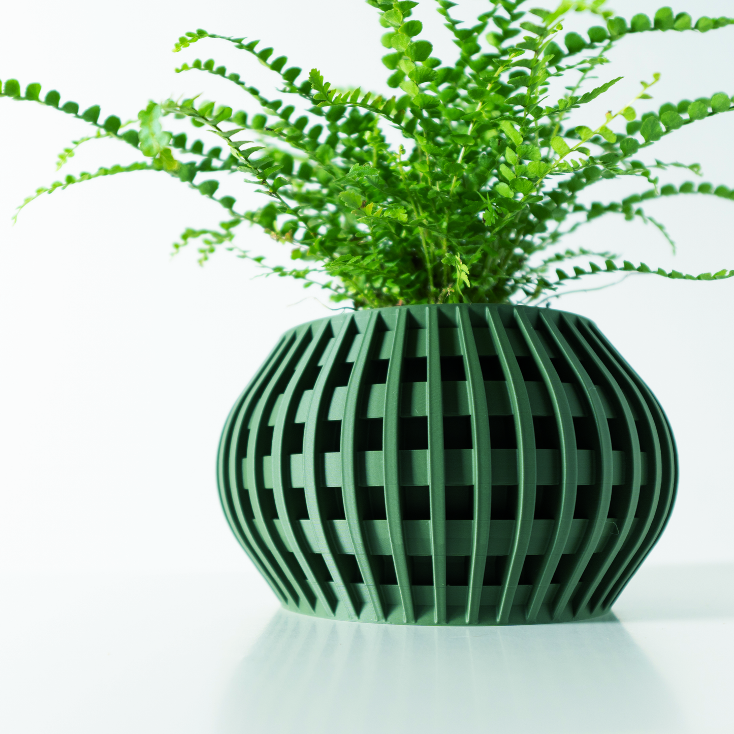 The Usio Interior Planter Pot with Drainage Tray