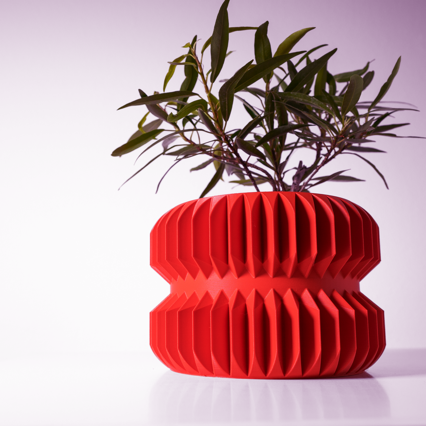 The Pilas Interior Planter Pot with Drainage Tray