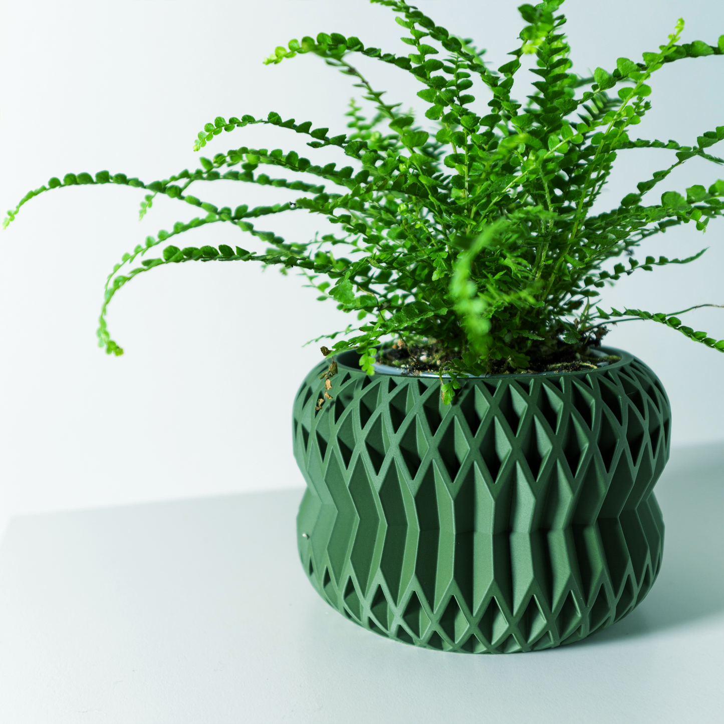 The Rydan Interior Planter Pot with Drainage Tray