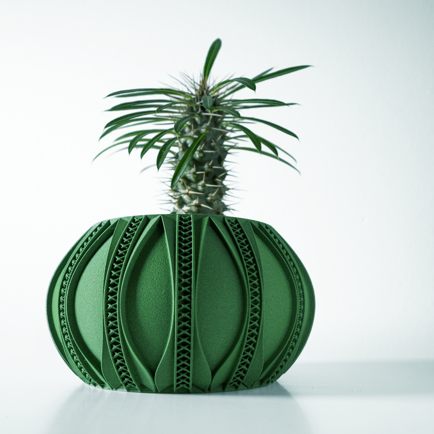 The Ryne Interior Planter Pot with Drainage Tray