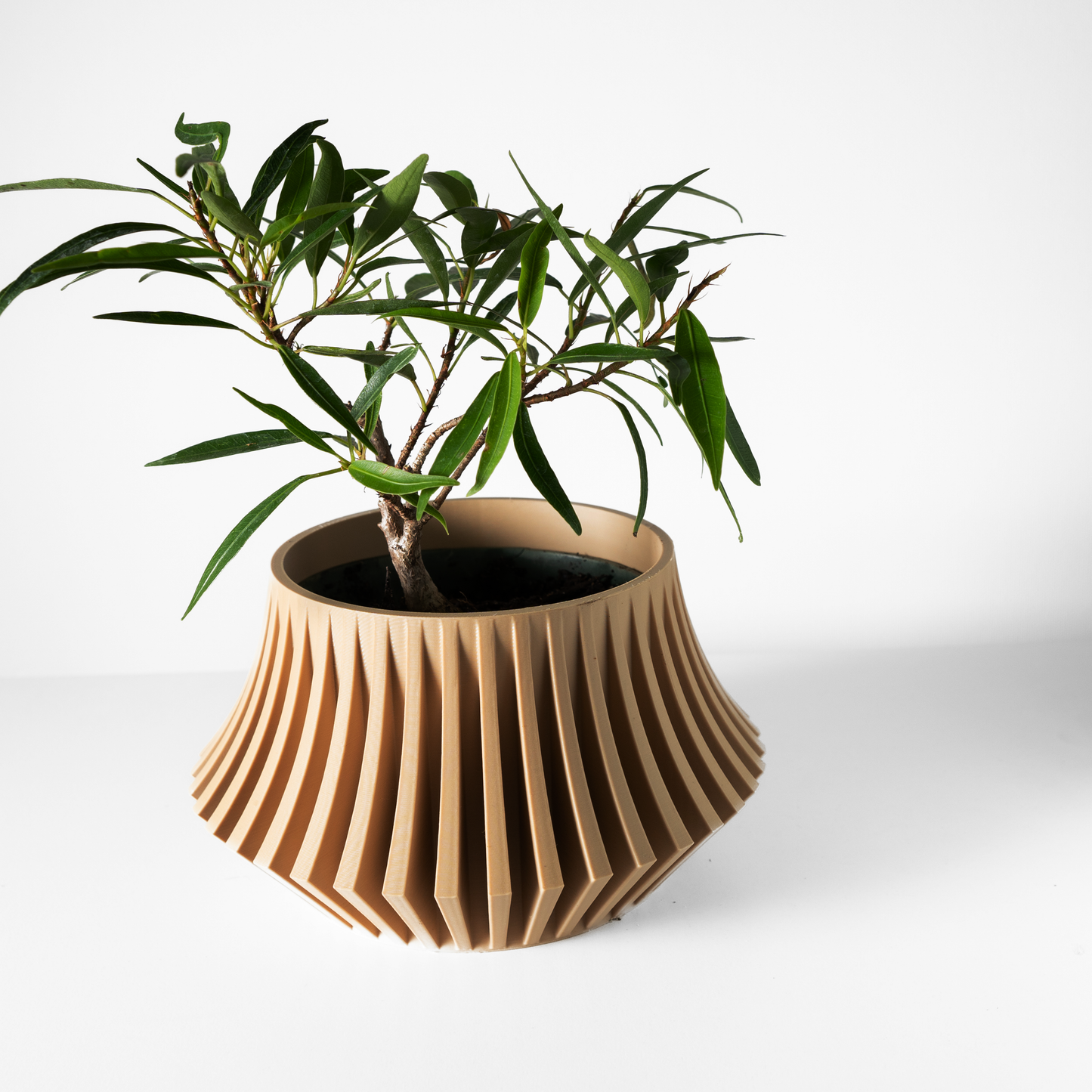 The Jasen Interior Planter Pot with Drainage Tray