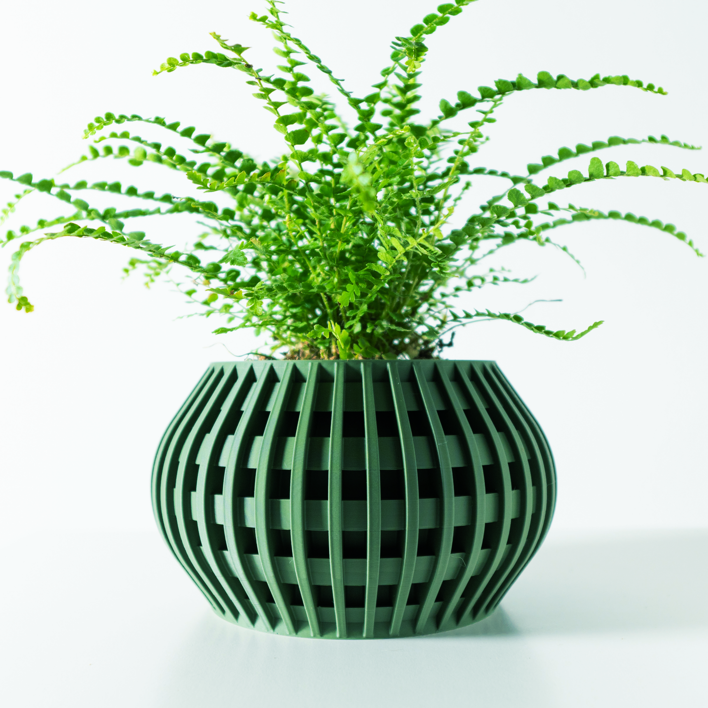 The Usio Interior Planter Pot with Drainage Tray