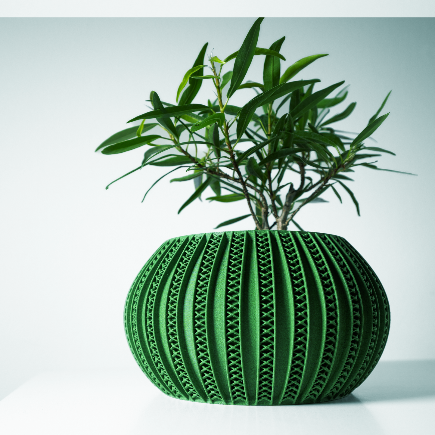 The Syne Interior Planter Pot with Drainage Tray