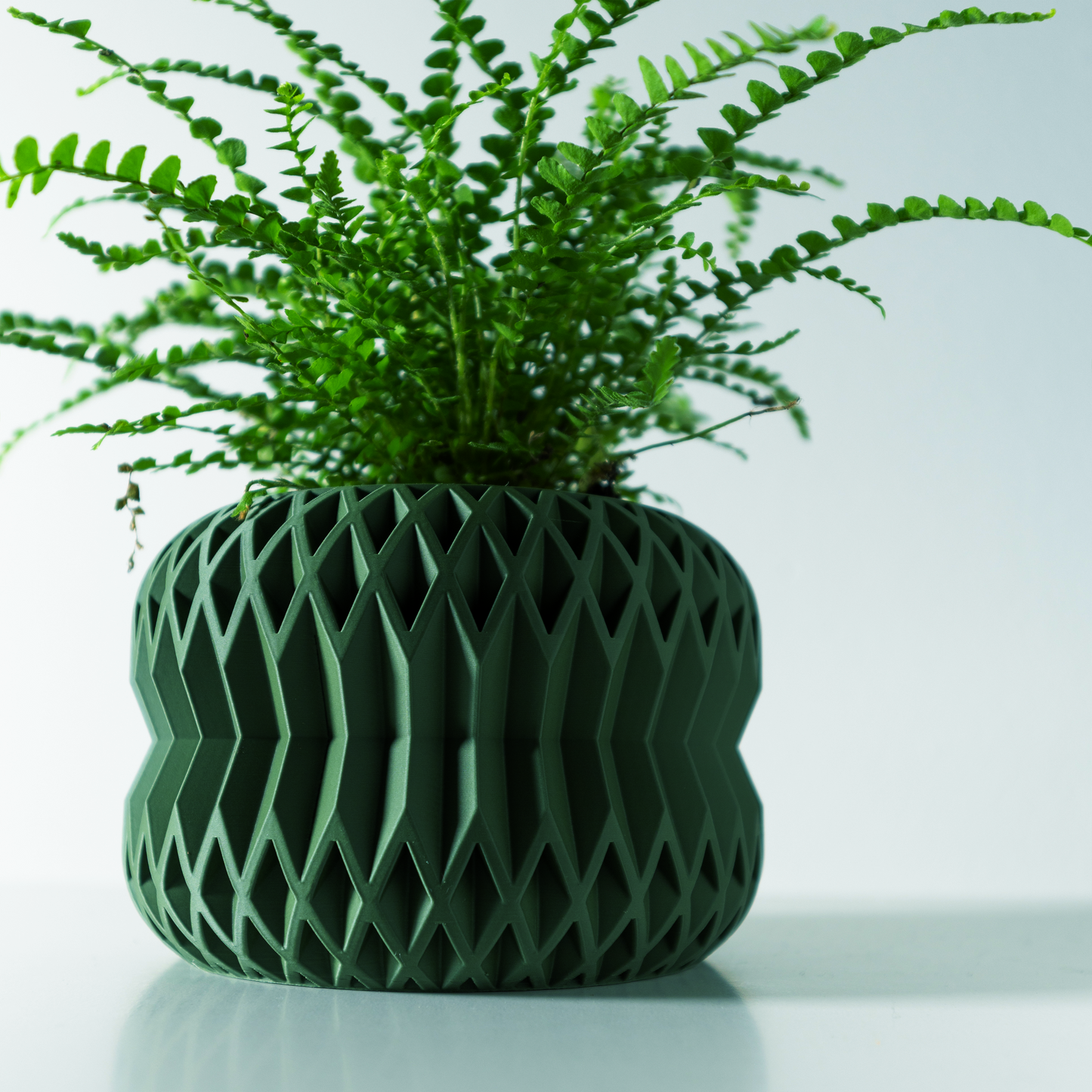 The Rydan Interior Planter Pot with Drainage Tray