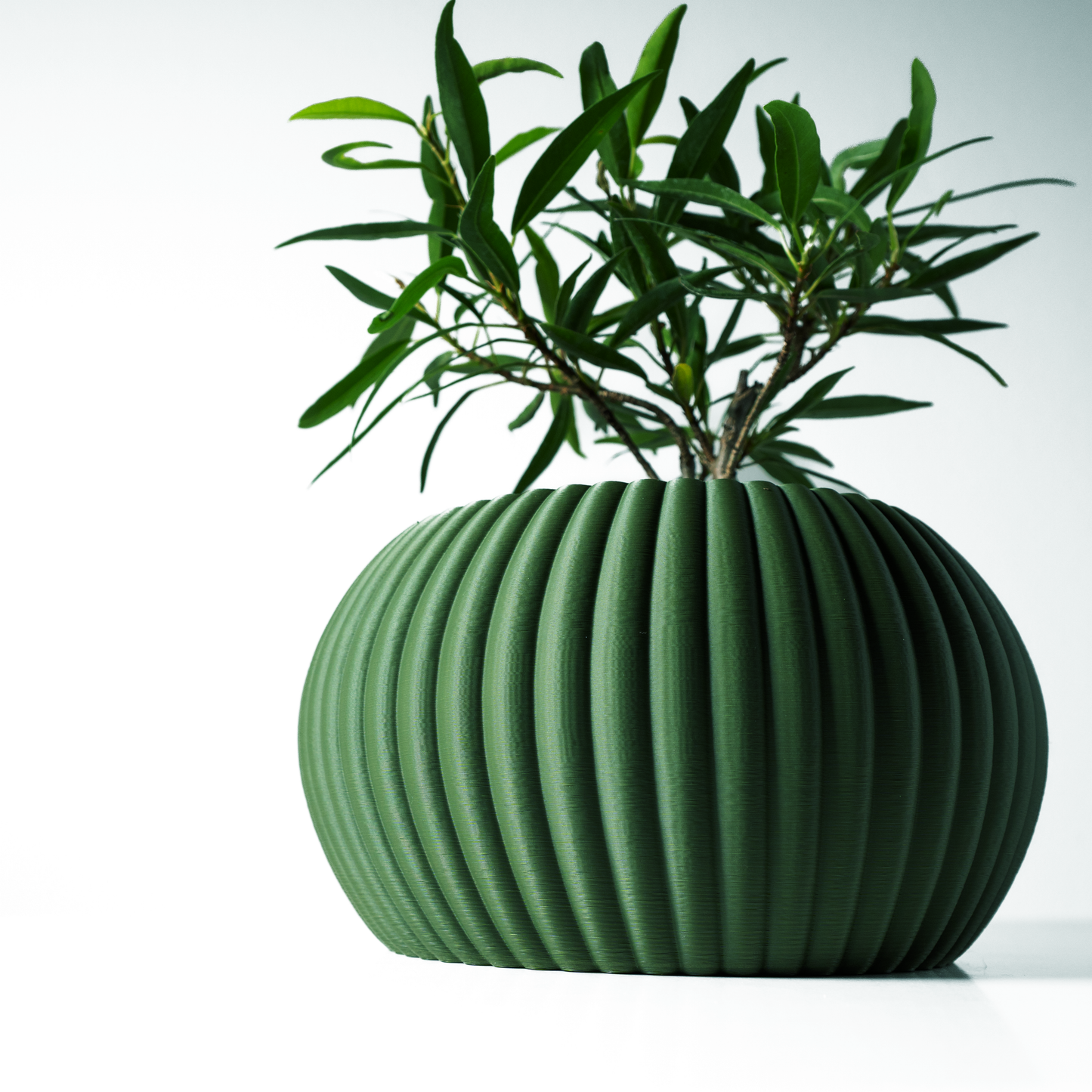 The Roni Interior Planter Pot with Drainage Tray