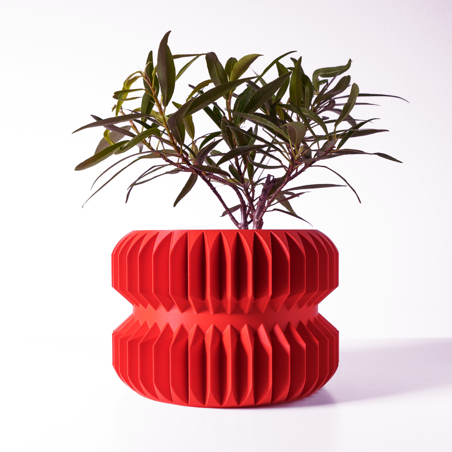 The Pilas Interior Planter Pot with Drainage Tray