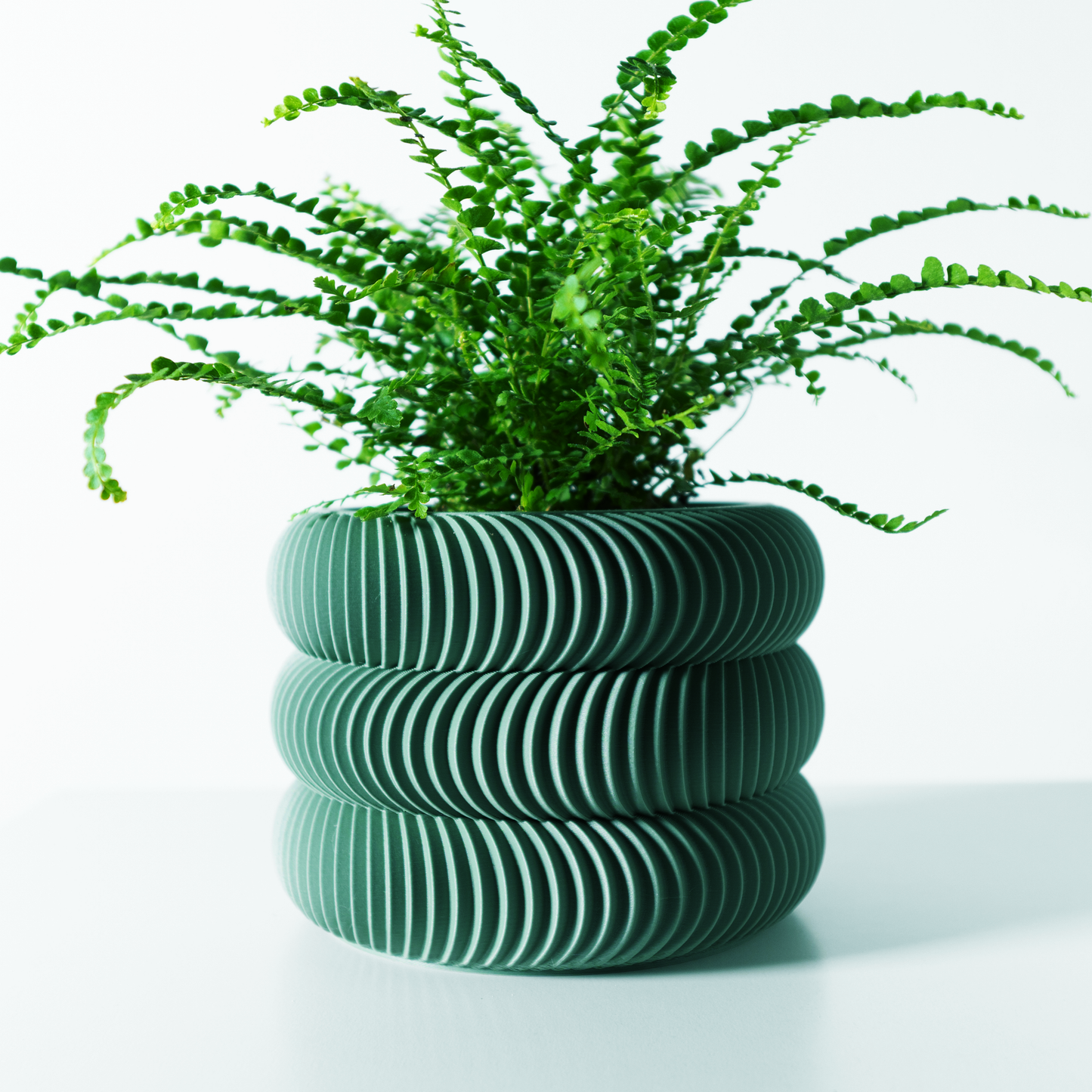 The Maro Interior Planter Pot with Drainage Tray