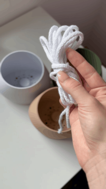 KAPKA self watering Interior planter