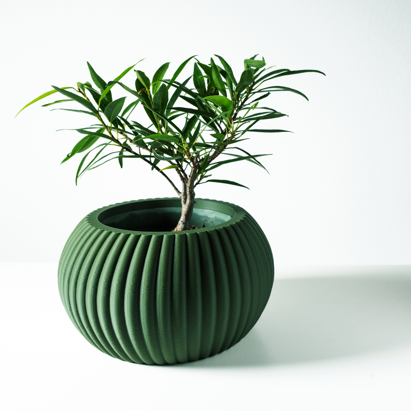The Roni Interior Planter Pot with Drainage Tray