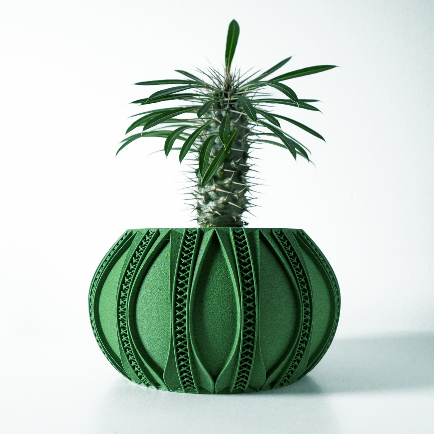 The Ryne Interior Planter Pot with Drainage Tray