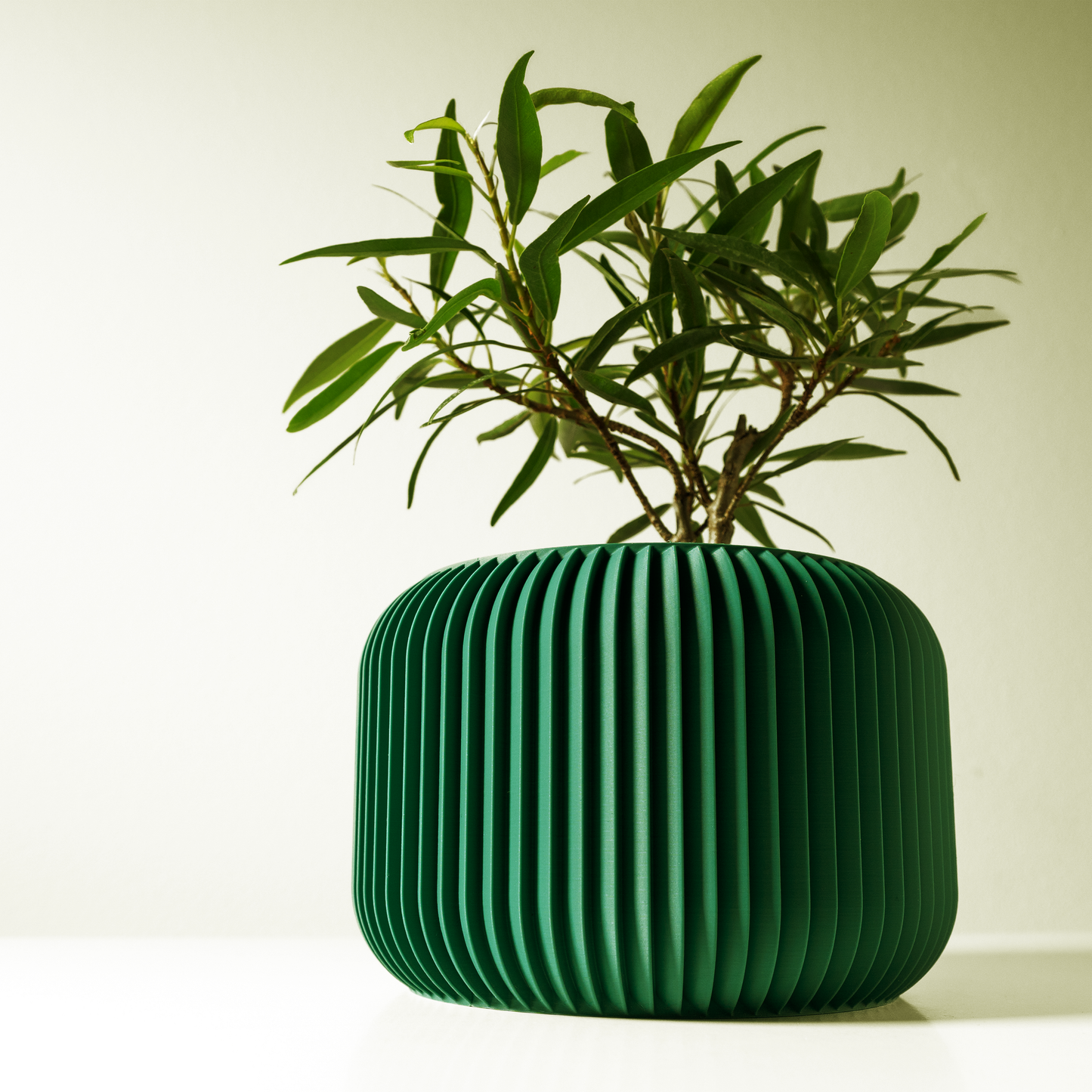 The Unis Interior Planter Pot with Drainage