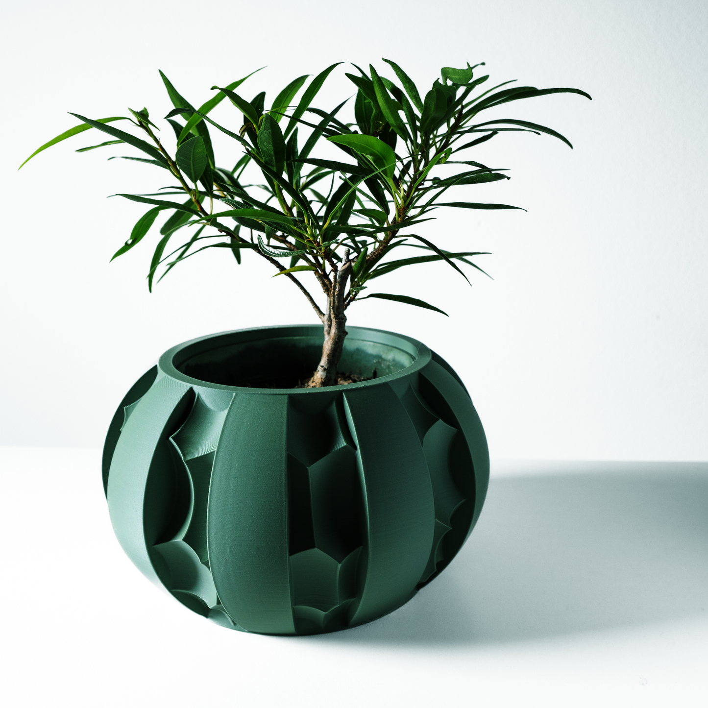 The Erna Interior Planter Pot with Drainage Tray