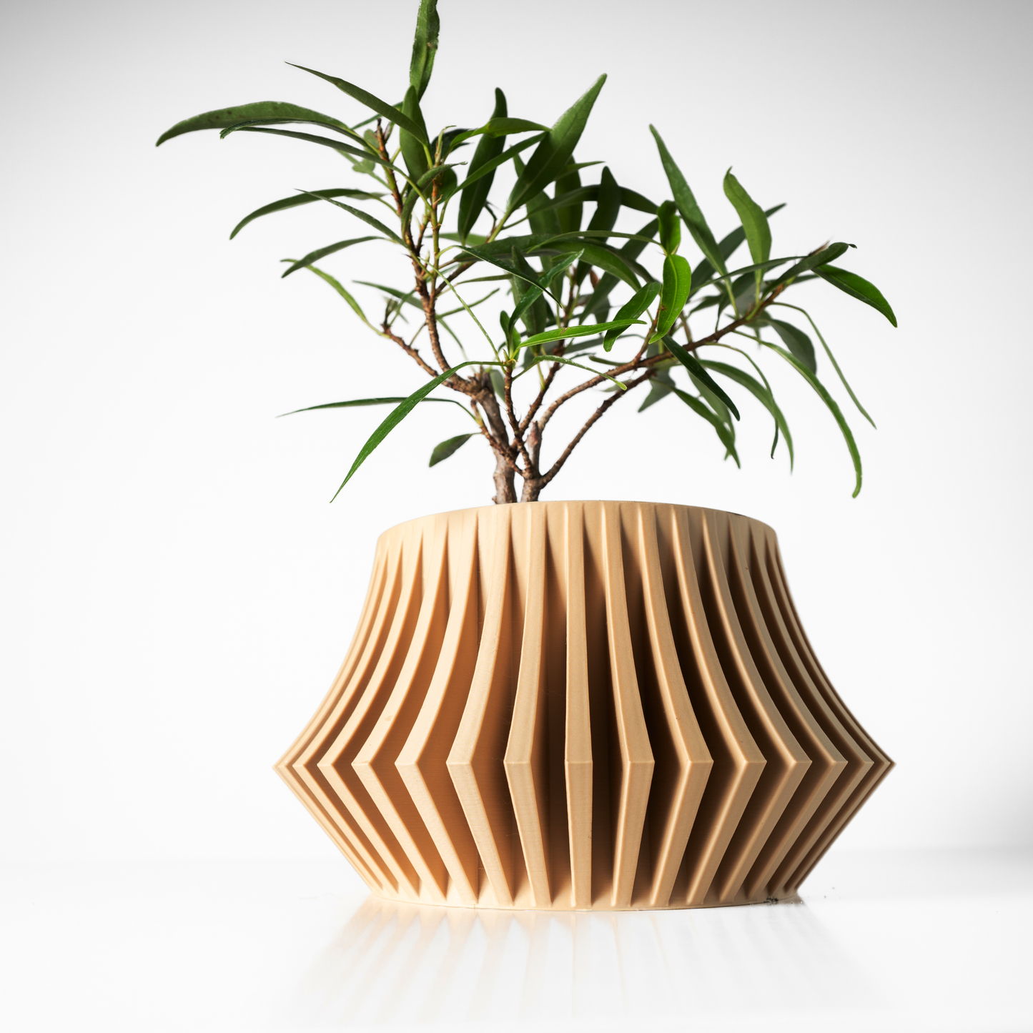 The Jasen Interior Planter Pot with Drainage Tray