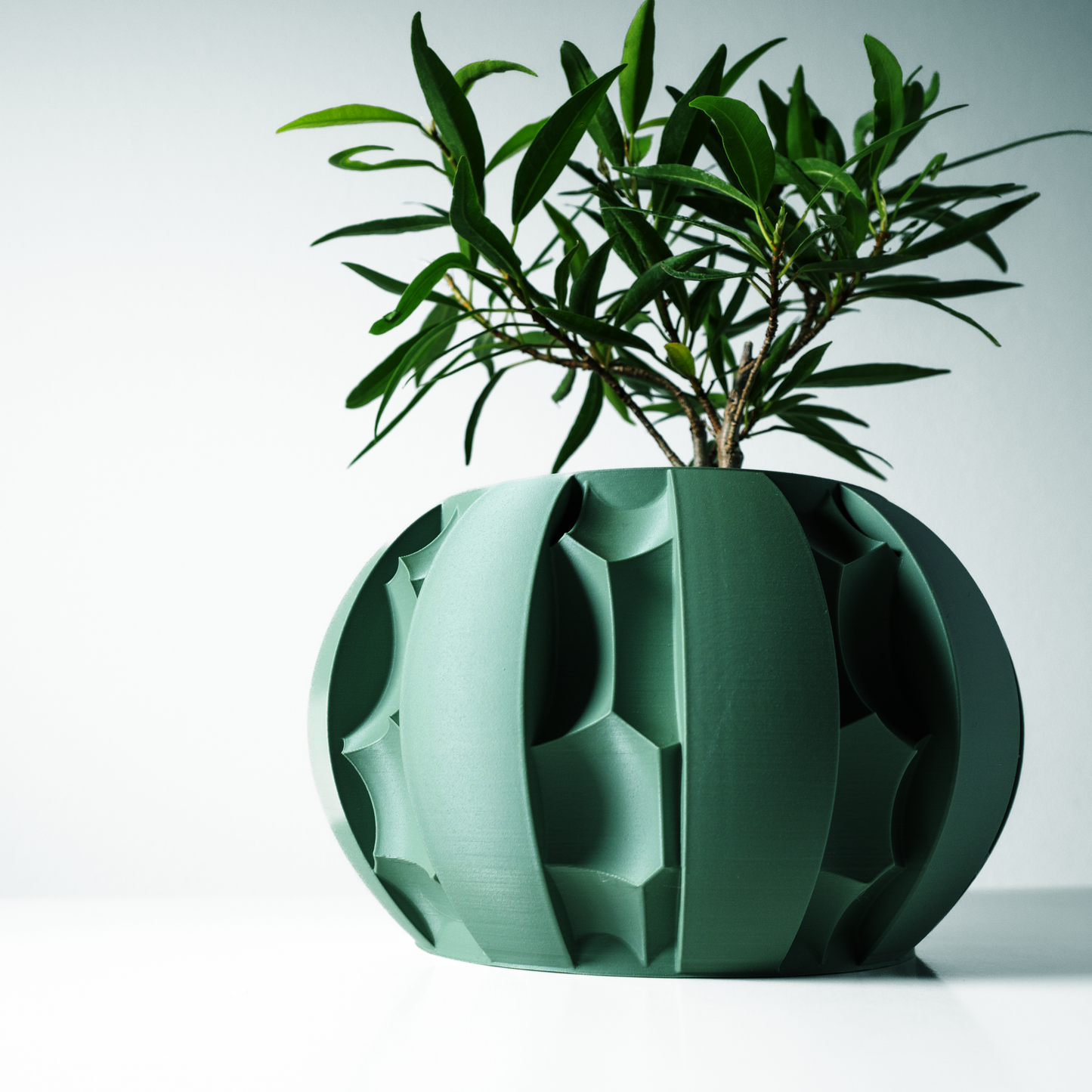 The Erna Interior Planter Pot with Drainage Tray