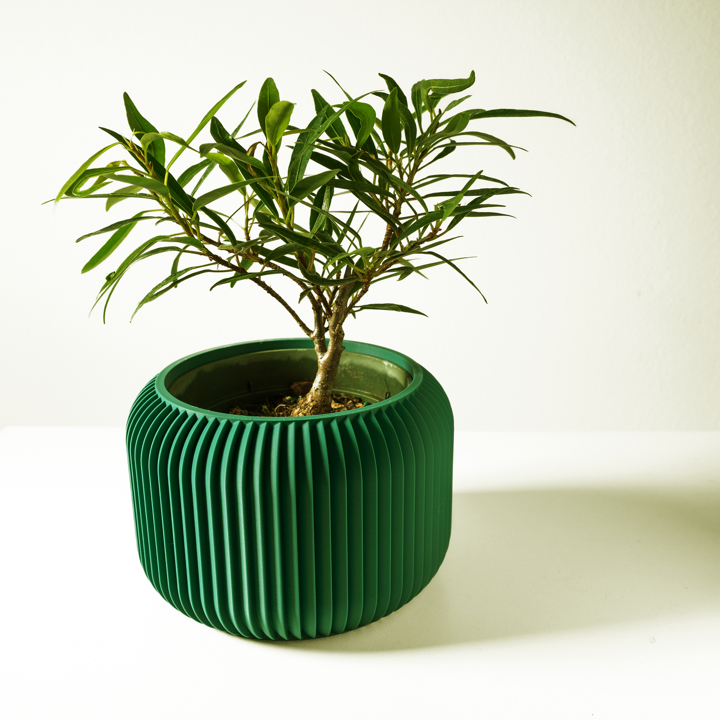 The Unis Interior Planter Pot with Drainage
