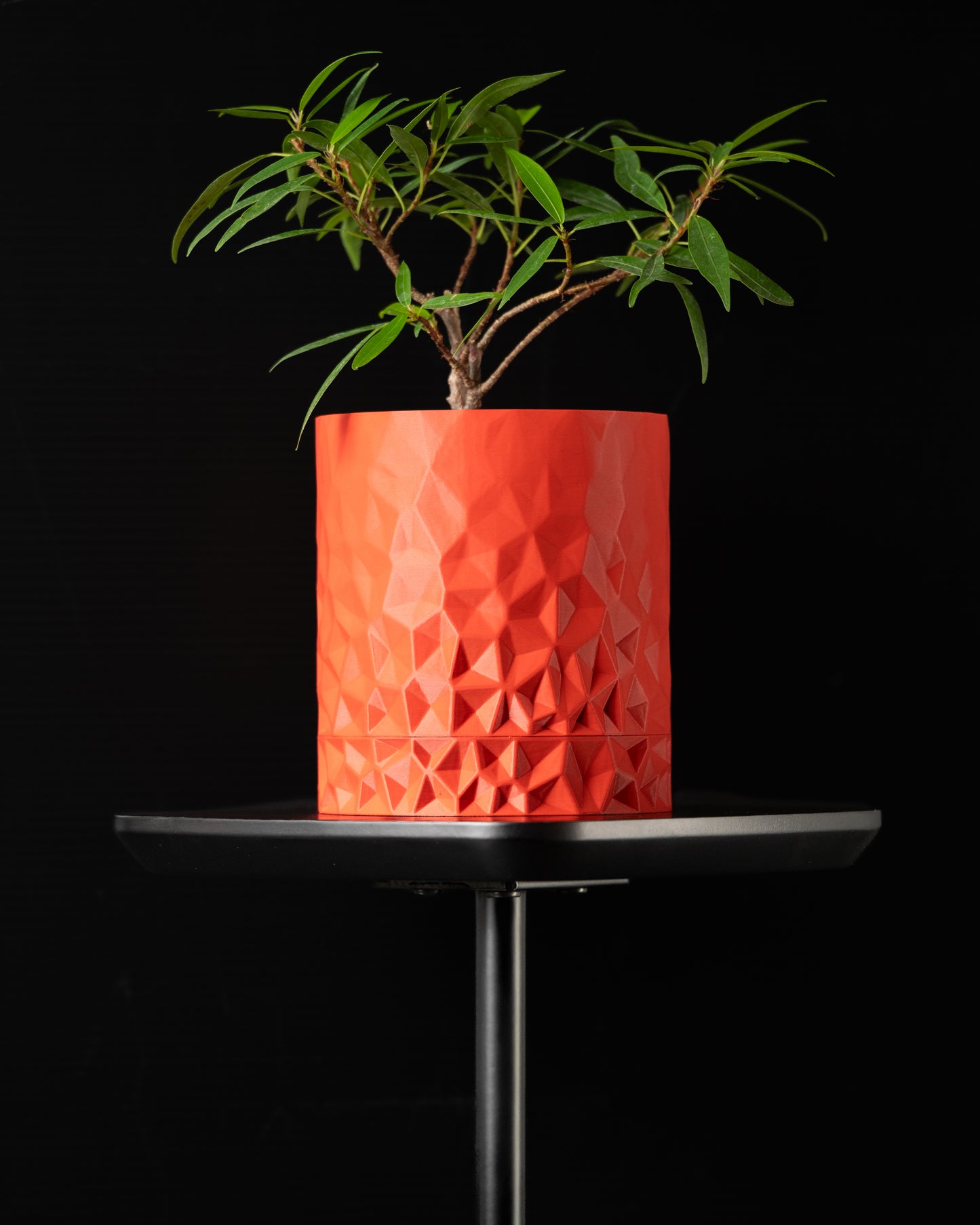 VORONOI Interior Planter – Dual Version