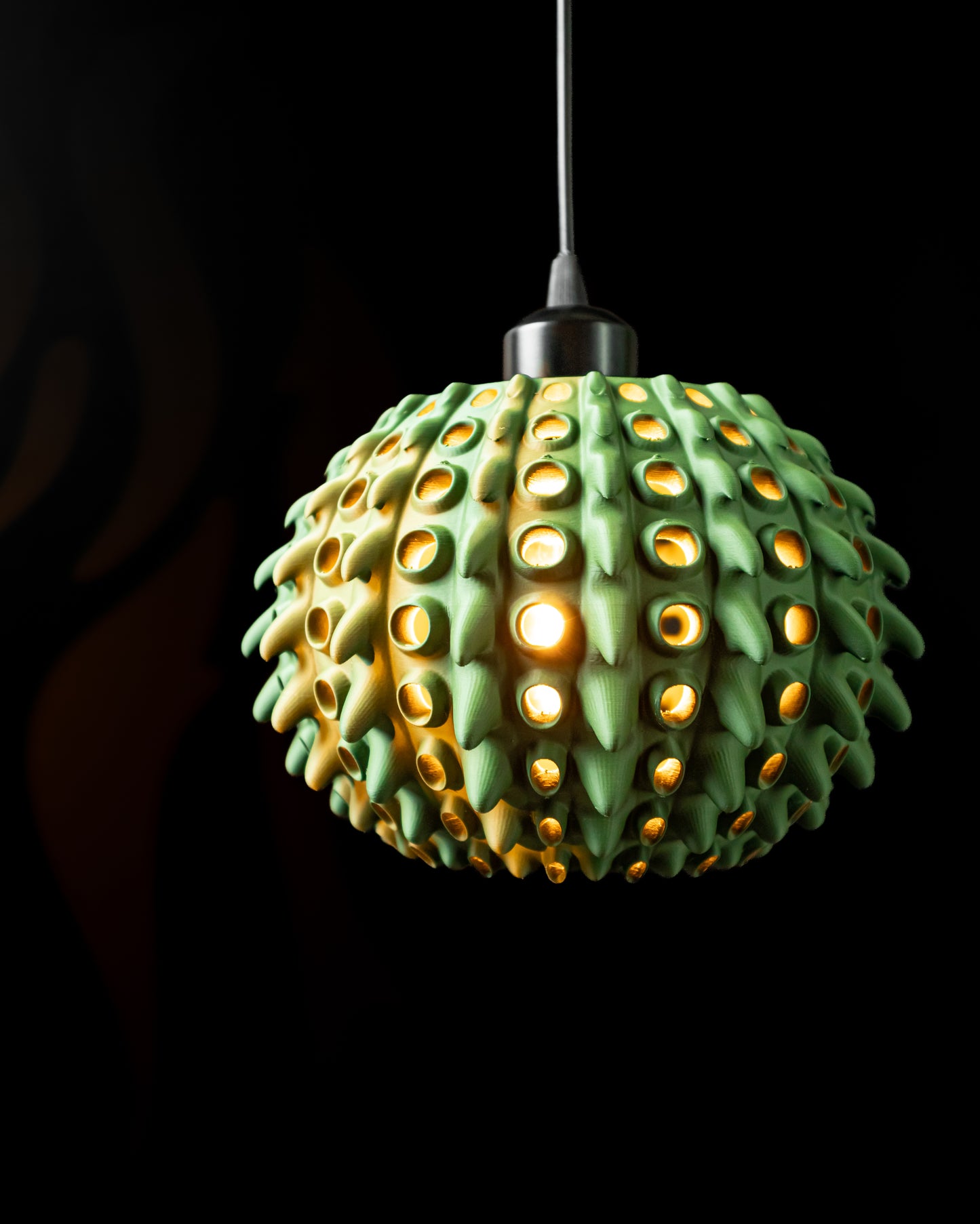 Barnacle Pendant Light