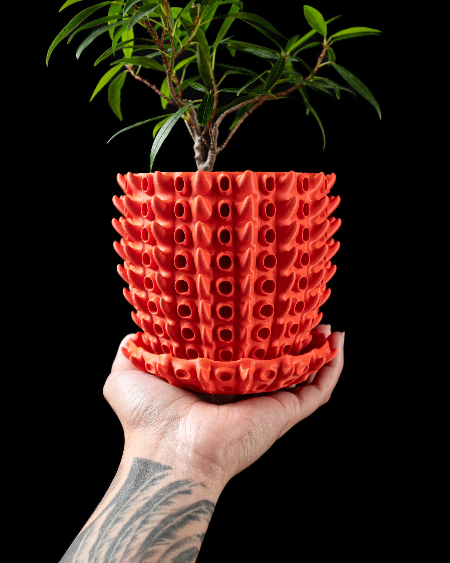 Barnacle Interior Planter Pot