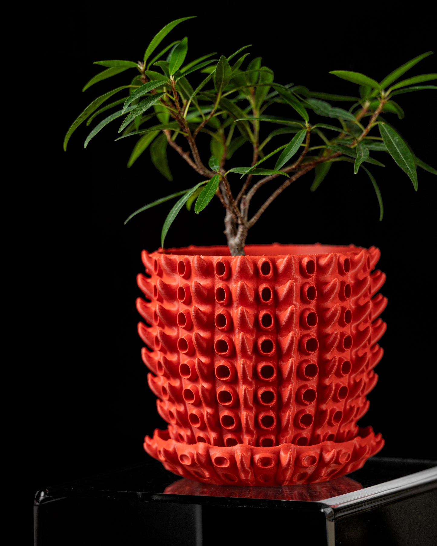 Barnacle Interior Planter Pot