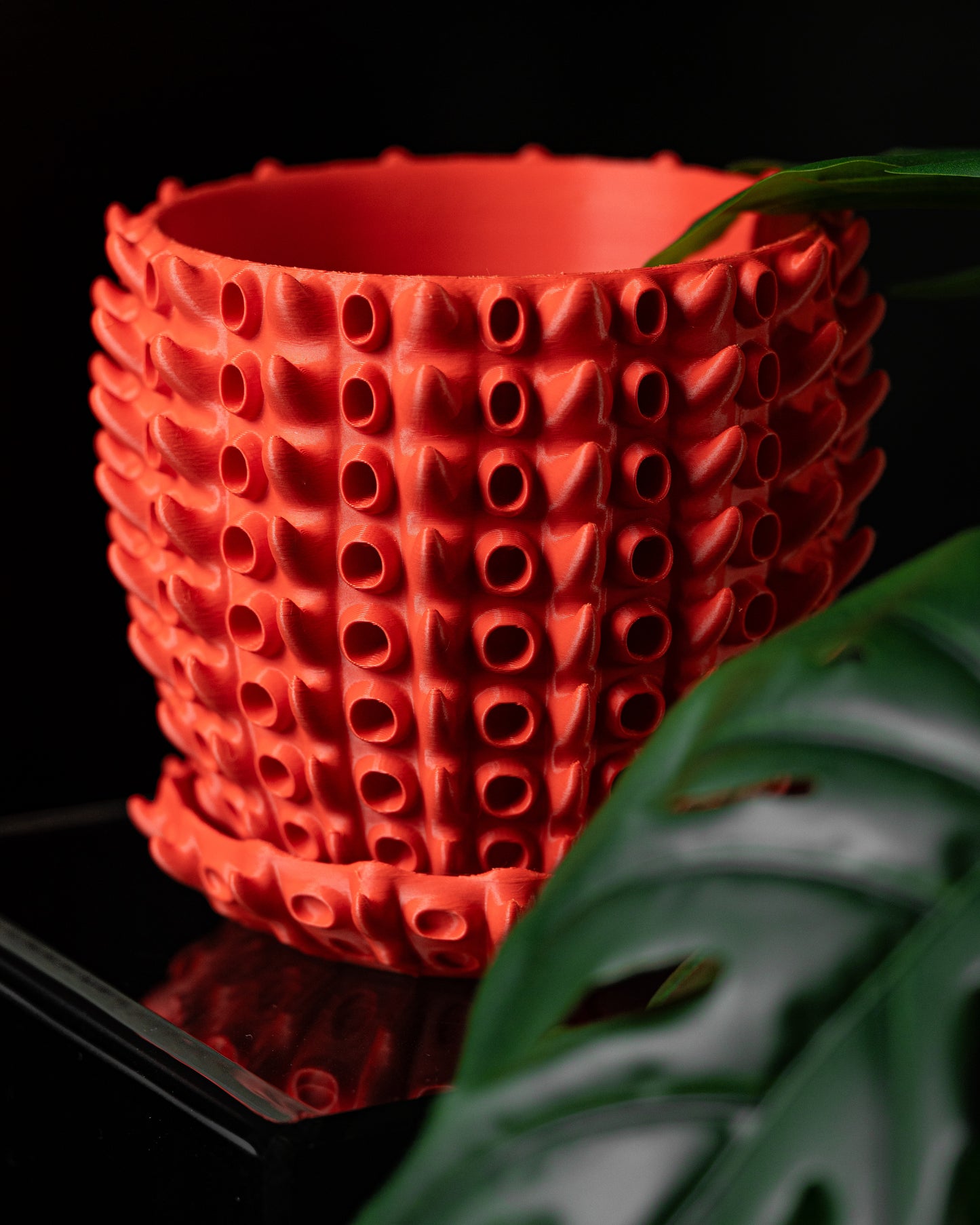 Barnacle Interior Planter Pot