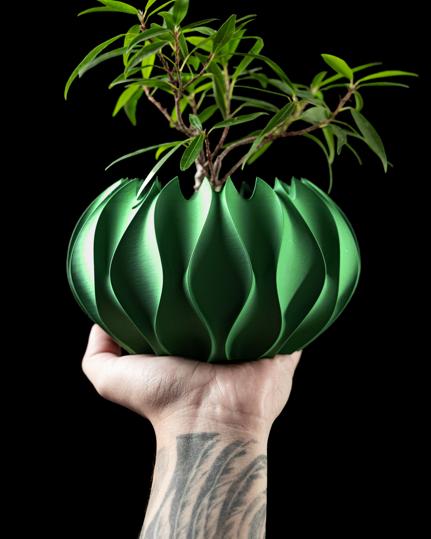 Abyssal Interior Planter Pot
