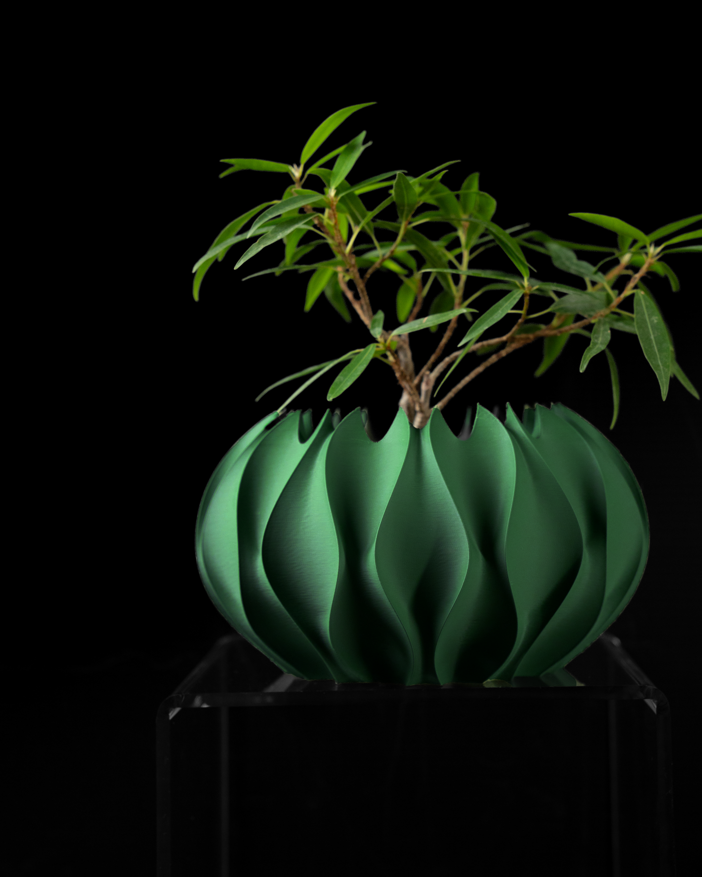 Abyssal Interior Planter Pot
