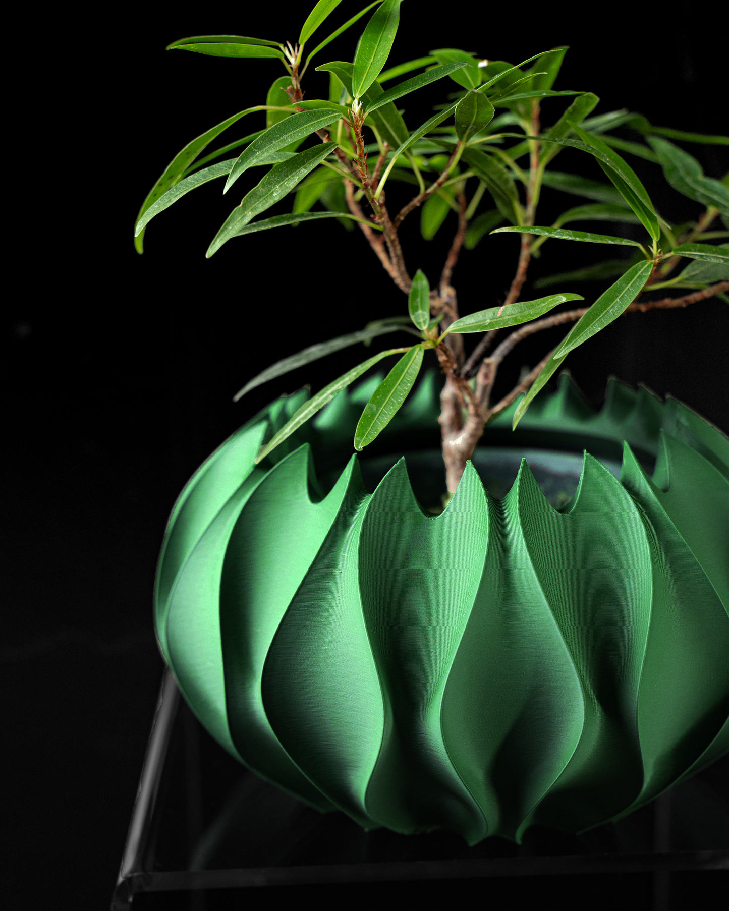 Abyssal Interior Planter Pot