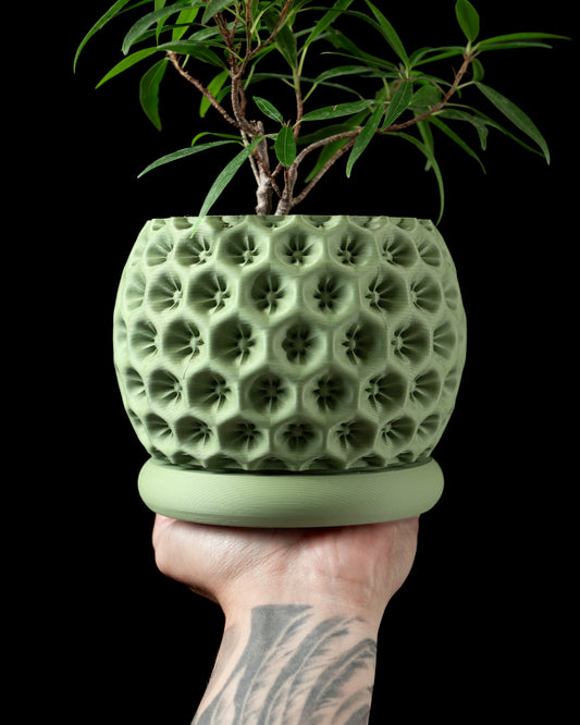 Starry Interior Planter