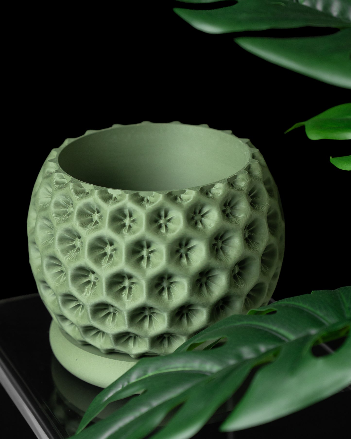 Starry Interior Planter