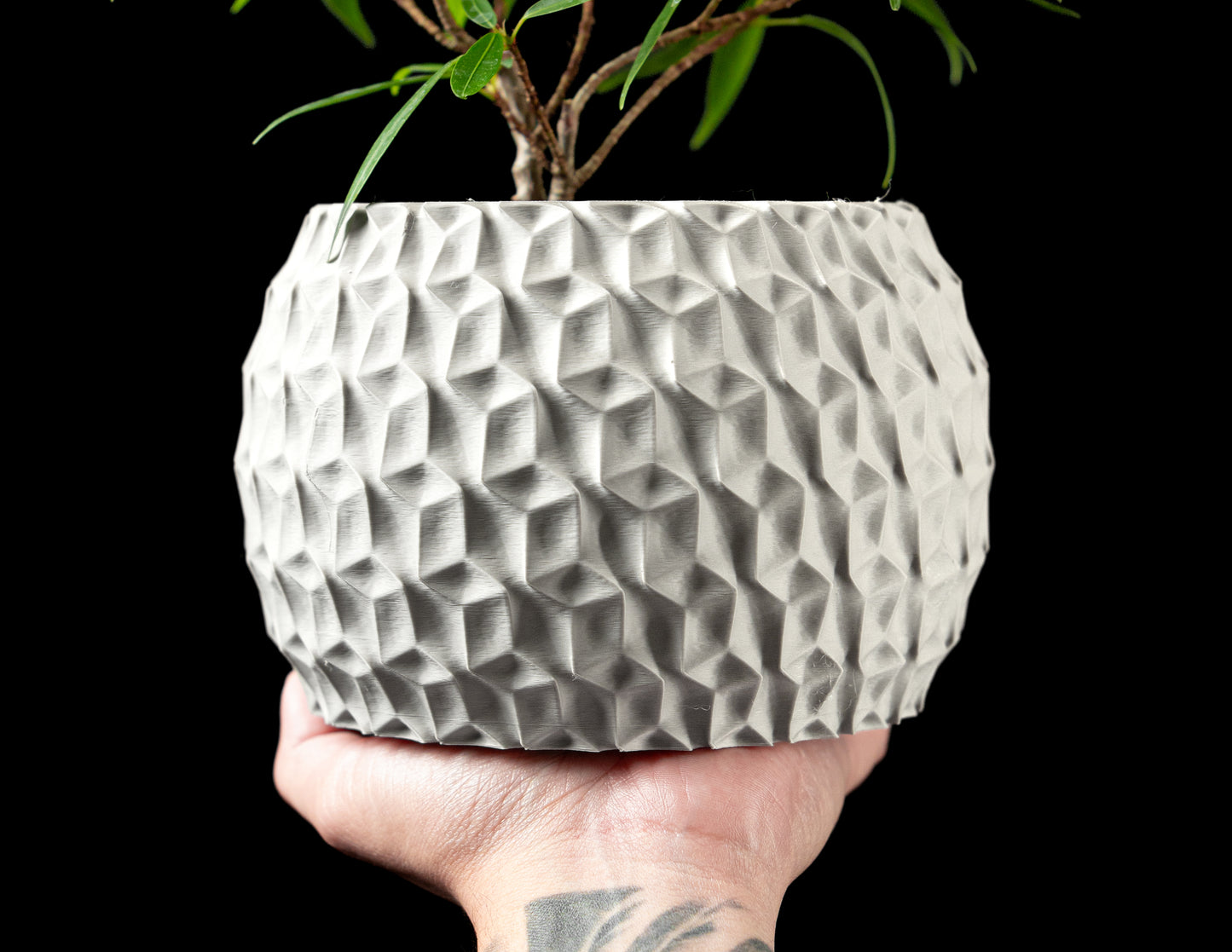 Hexa Interior Planter