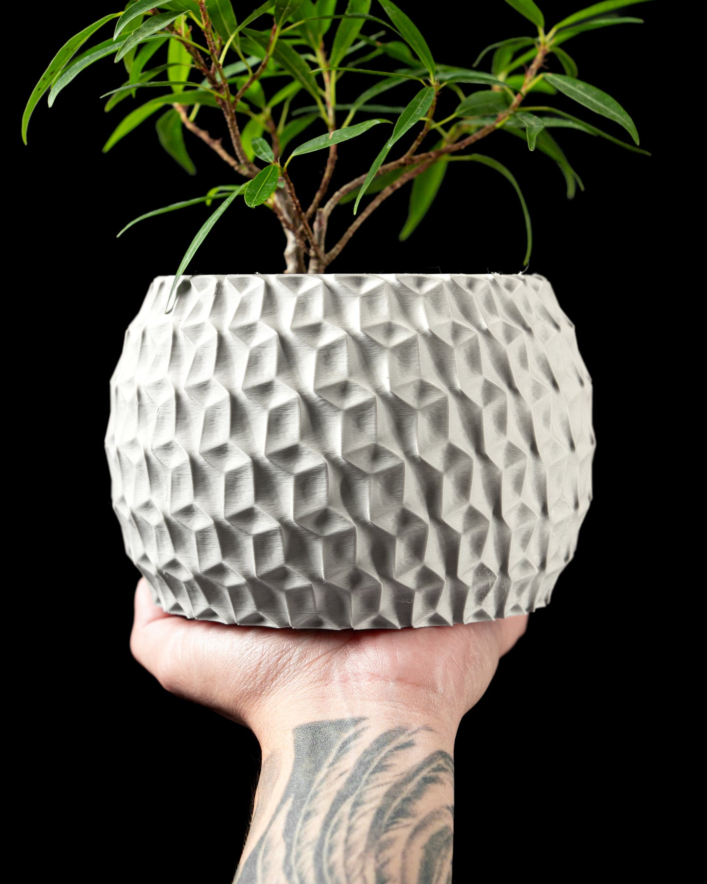 Hexa Interior Planter