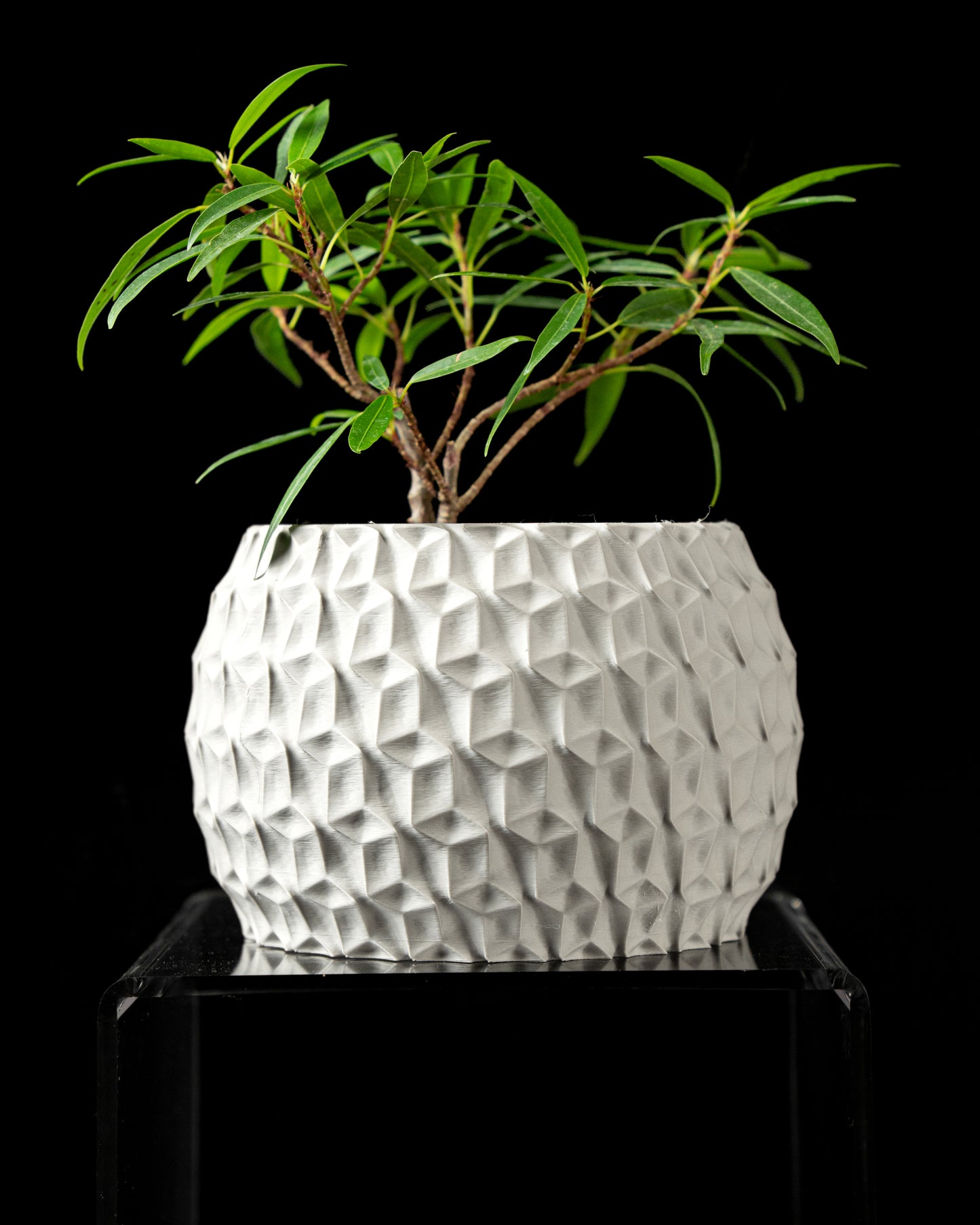 Hexa Interior Planter